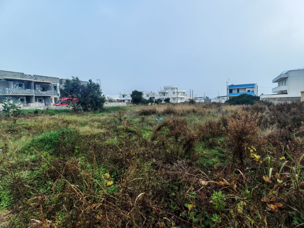 Giano Group Immobiliare